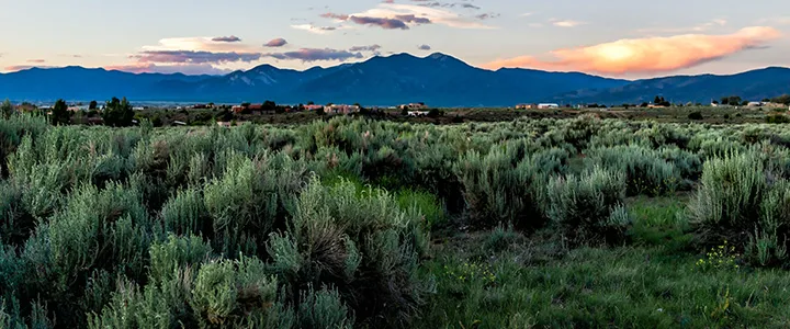 Lower Las Colonias Homes for Sale