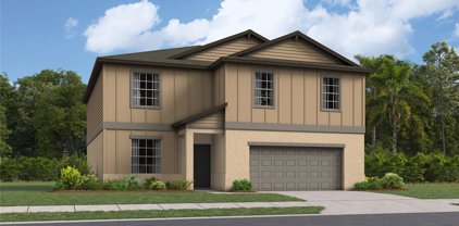 22123 Nebula Way, Land O' Lakes