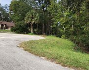 1361 Melonie  Trail, New Smyrna Beach image