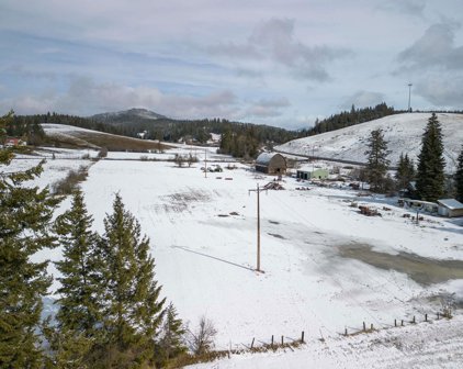 1679 Deep Creek Rd, 10 +/- Ac, Potlatch