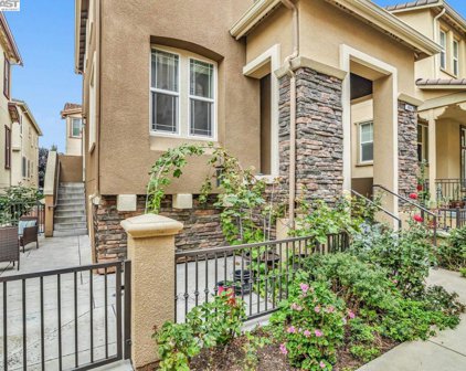 49042 Feather Grass Ter, Fremont