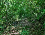 TBD Whitewater Road, Sapphire image