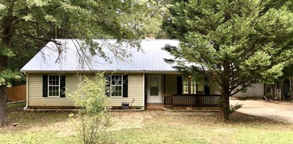 361 Tussahaw Point Drive, Jackson