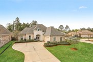 1137 Cypress Crossing  Drive, Madisonville image