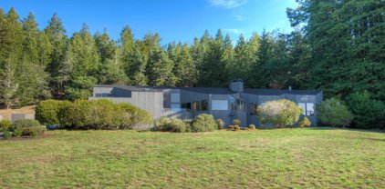 193 Lupine, The Sea Ranch