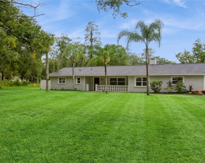 3432 Ehrlich Road, Tampa