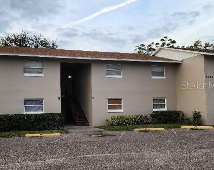 5885 Dahlia Drive Unit 11  (106), Orlando
