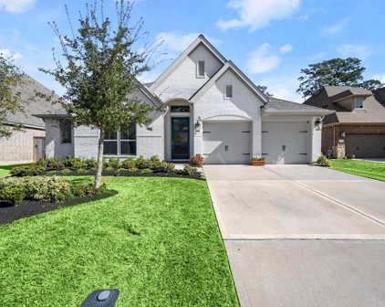 423 Callery Pear Court, Conroe