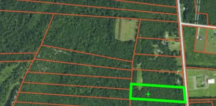 Old Beech Hill Road, Ridgeville