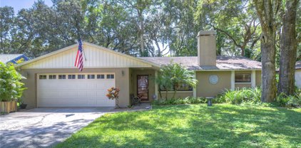 2327 Towery Trail, Lutz