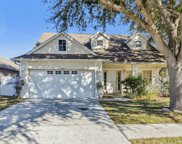 17401 Blooming Fields Drive, Land O Lakes image