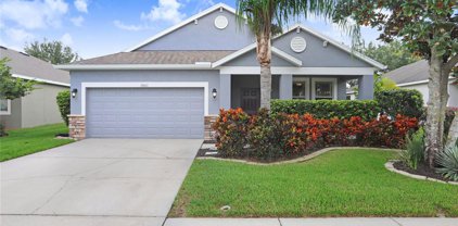 19421 Sunset Bay Drive, Land O' Lakes