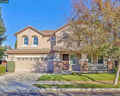 1359 Castello Ranch Rd, Brentwood
