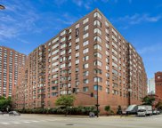 801 S Plymouth Court Unit #201, Chicago image