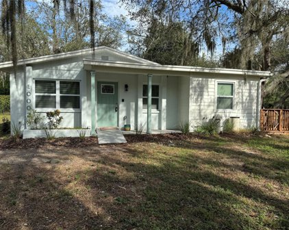 10002 Takomah Trail, Tampa