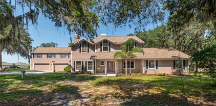 10219 Old Cone Grove Road, Riverview