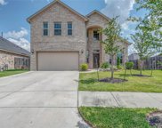 3481 Stablewood Grove Lane, Spring image