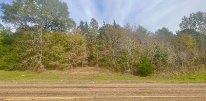 TBD FM 2152, Mt Pleasant