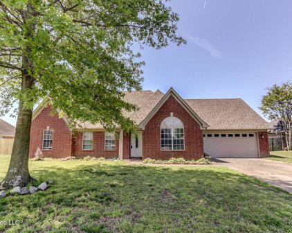 7771 Bailee Lane, Walls
