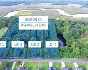 Burton Road, Savannah image