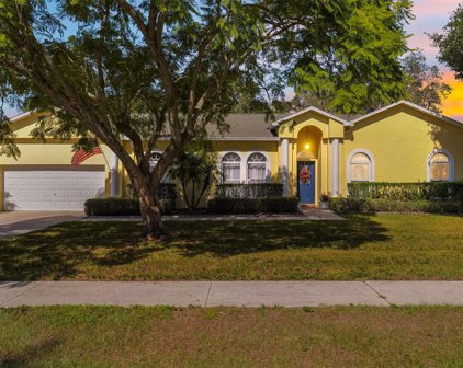 2410 Buckhorn School Court, Valrico