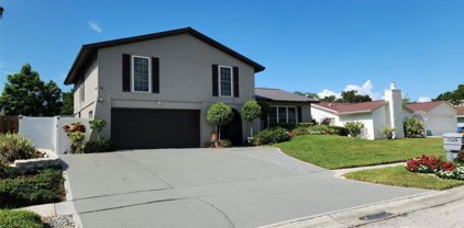 7529 Clearview Drive, Tampa