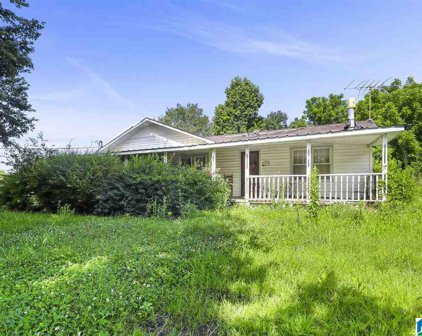 16501 County Road 49, Muscadine