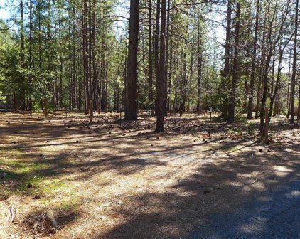 5+- Acres Fern Rd., Whitmore
