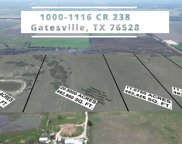 Lot 4 County Rd 238, Gatesville image
