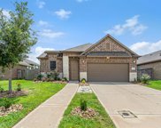 2310 Jessamine Heights Lane, Pearland image