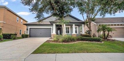 6247 Hawk Grove Court, Wesley Chapel