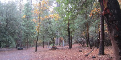 3196 Pine Cone Court, Placerville