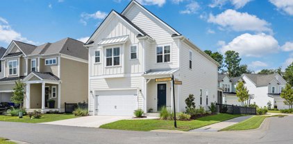 2282 Braided Lane, Mount Pleasant