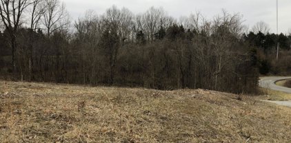 Lot 4 & 5 Hollow Hills Rd, Mt Washington