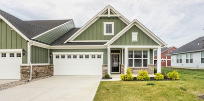 714 Stone Trace Court, Avon