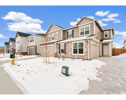 4460 Haymill Ct, Timnath
