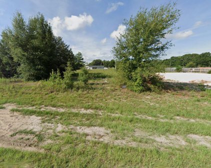 Lot 4 Sw 139th Place, Ocala