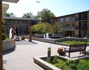 2420 W Talcott Road Unit #110, Park Ridge image