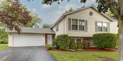 812 W Brittany Drive, Arlington Heights