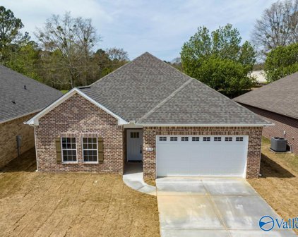 2931 Phelan Cir Se, Hanceville
