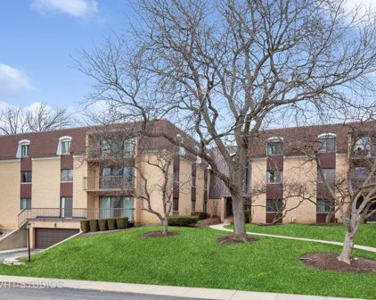 1105 N Mill Street Unit #216, Naperville