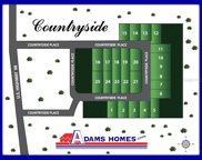 38127 Countryside Place, Dade City image