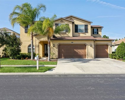 2589 Gwynhurst Boulevard, Wesley Chapel