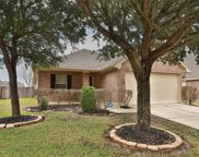 8726 Sunny Gallop Drive, Tomball image
