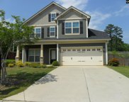 332 Eagle Pointe Drive, Chapin image