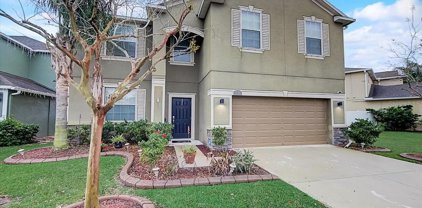 18314 Rossendale Court, Land O' Lakes