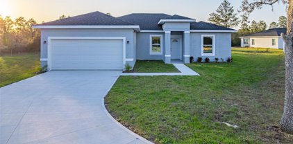 143 Violet Court, Kissimmee
