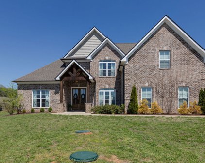 213 Cora Beth Ct, Lascassas
