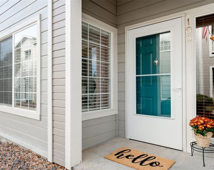 8447 Thunder Ridge Way Unit 103, Highlands Ranch
