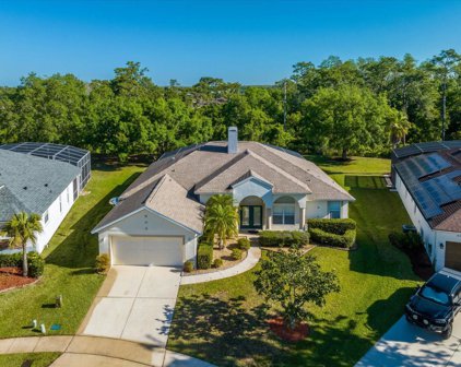 4707 Yamato Court, Orlando